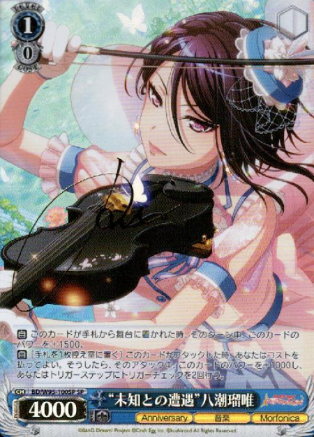 BD/W95-100SP SP Yashio Rui