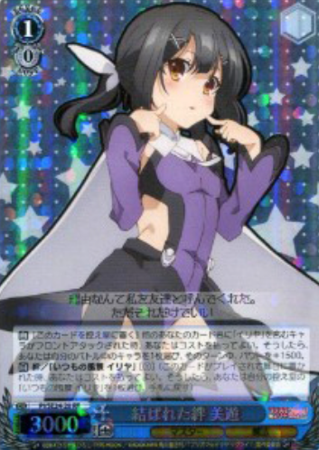 PI/SE24-20 S-RR Miyu