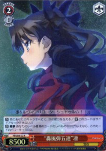 PI/SE18-02 S-R Rin