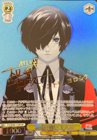 P3/SE46-11SP SP Hero