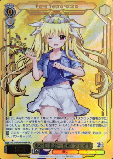 NTA/WE48-04SP SP Fate
