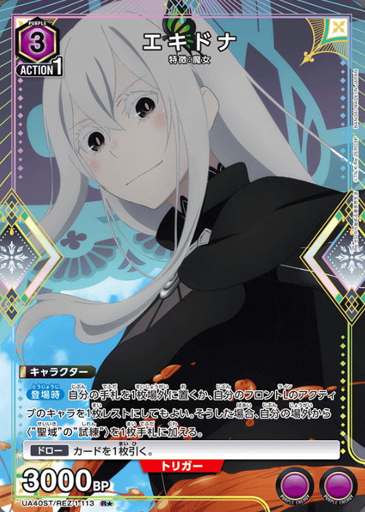 UA40ST/REZ-1-113 R ☆ Echidna