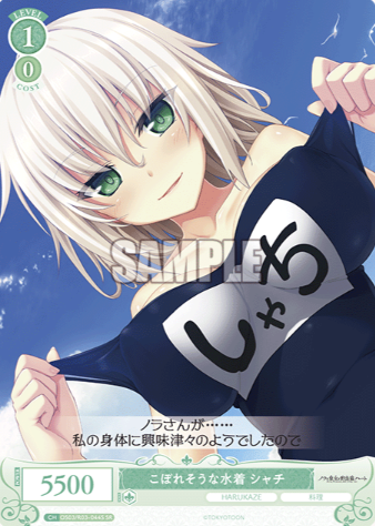 OS03/R03-044S SR Shachi
