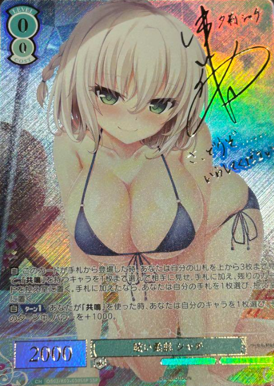 OS03/R03-030SSP SSP Shachi