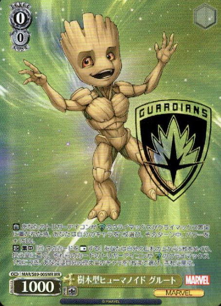 MAR/S89-005MR MR Groot