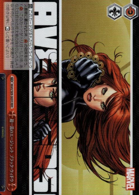 MAR/S89-069R RRR Black Widow