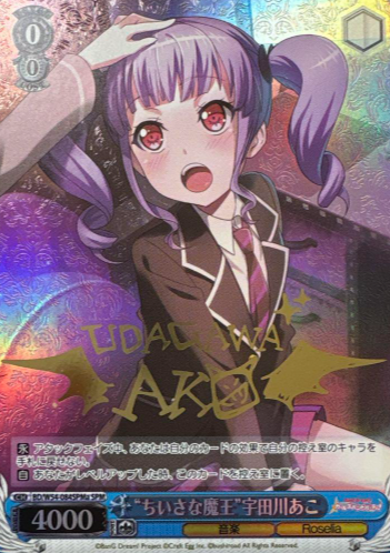 BD/W54-084SPMa SPM Udagawa Ako