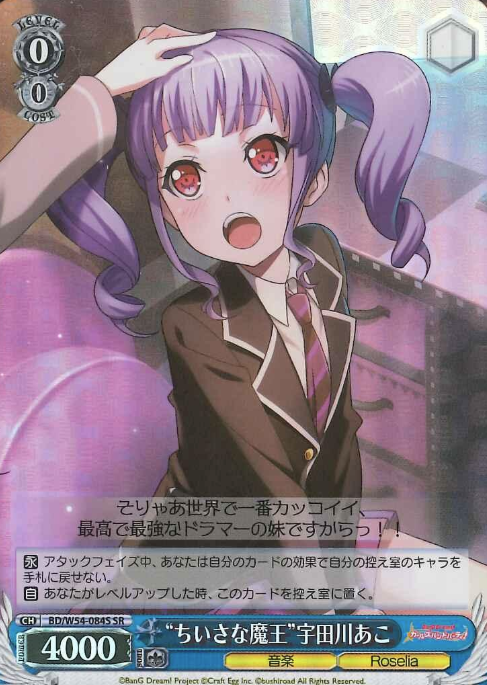 BD/W54-084S SR Udagawa Ako