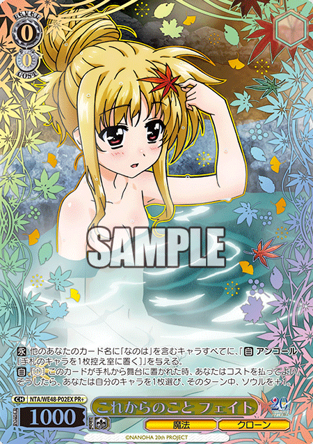 NTA/WE48-P02EX PR+ Fate Winner card (PR)