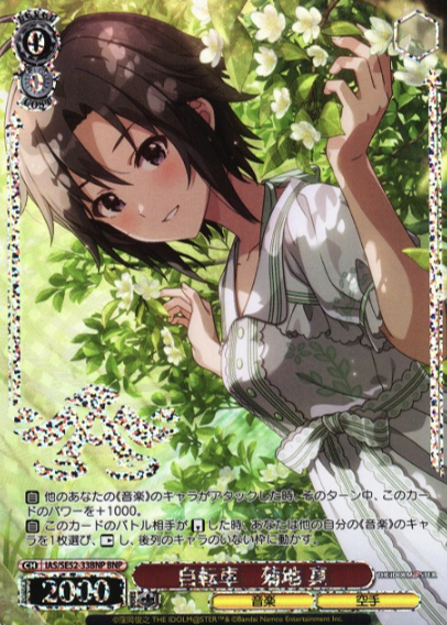 IAS/SE52-33BNP BNP Kikuchi Makoto