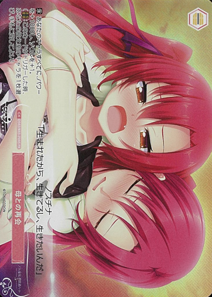 OS03/R03-P09S PR Nobuchina