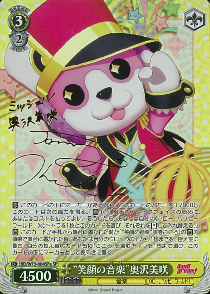BD/W73-004SPa SP Okusawa Misaki