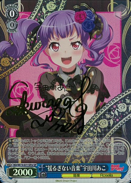 BD/W73-071SPa SP Udagawa Ako