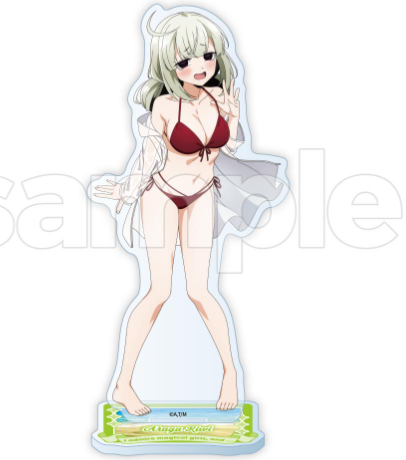 Kiwi Araraga Acrylic Stand