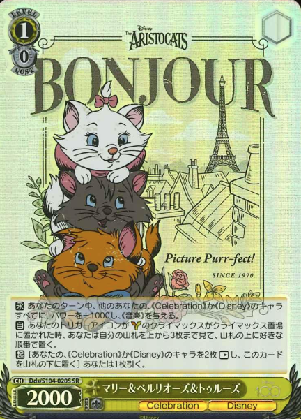 Dds/S104-020S SR Marie Berlioz Toulouse