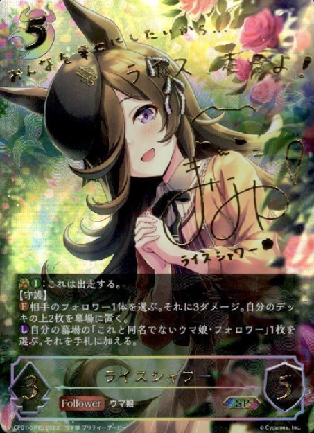 CP01-SP15 SP Rice Shower