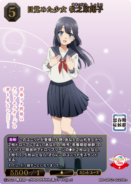 BB-SBS-022SR+ SR+ Makinohara Shoko