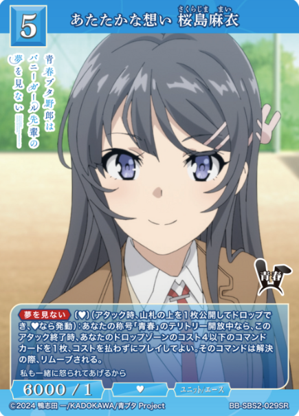 BB-SBS-029SR SR Sakurajima Mai