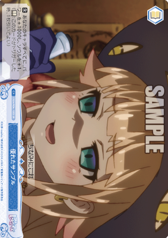 OS04/R04-100S SR