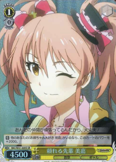 IMC/W41-009S SR Mika