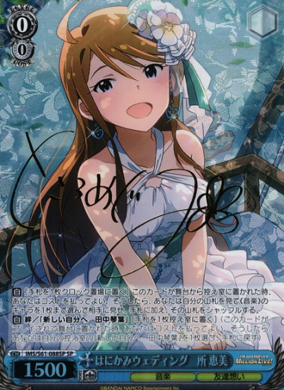 IMS/S61-088SP SP Tokoro Megumi