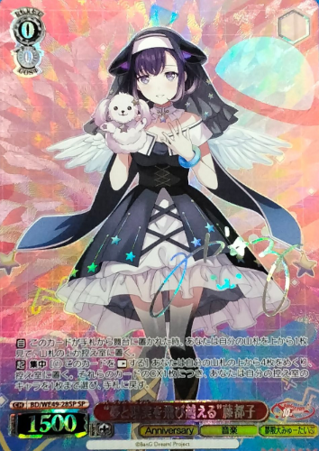 BD/WE49-28SP SP Fuji Miyako