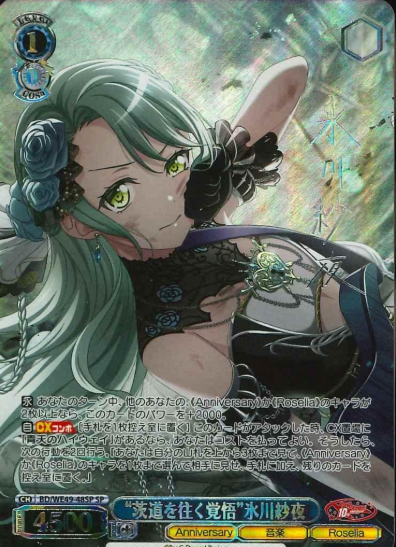 BD/WE49-48SP SP Hikawa Sayo