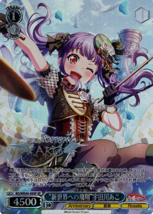 BD/WE49-49SP SP Udagawa Ako