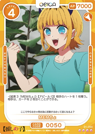 01-050 SR MEMcho