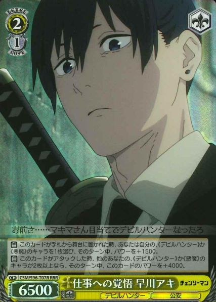 CSM/S96-T07 RRR Hayakawa Aki