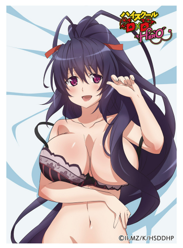Exclusive Card Sleeves Himejima Akeno Pre-Order