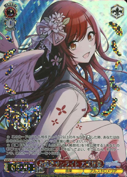 ISC/SE53-44WIR WIR Oosaki Amana