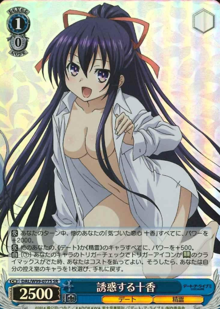 DAL/W99-077S SR Tohka