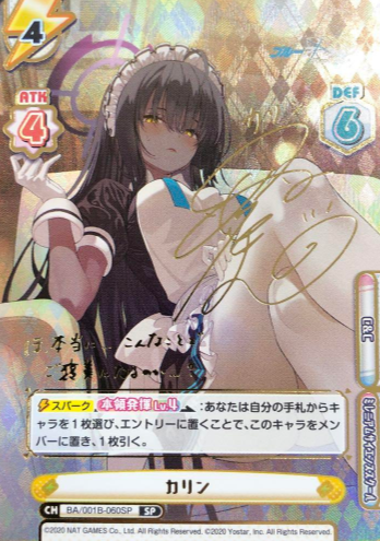 BA/001B-060 SP Karin