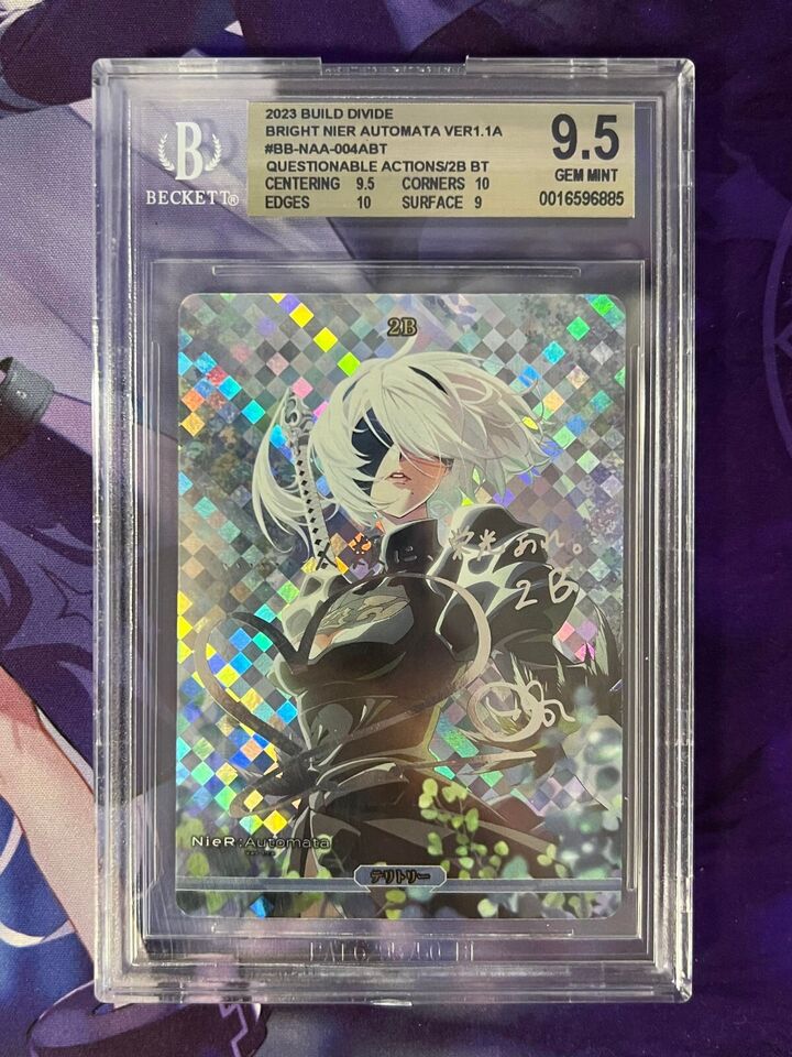NAA-004-a-BT 2B BGS 9.5