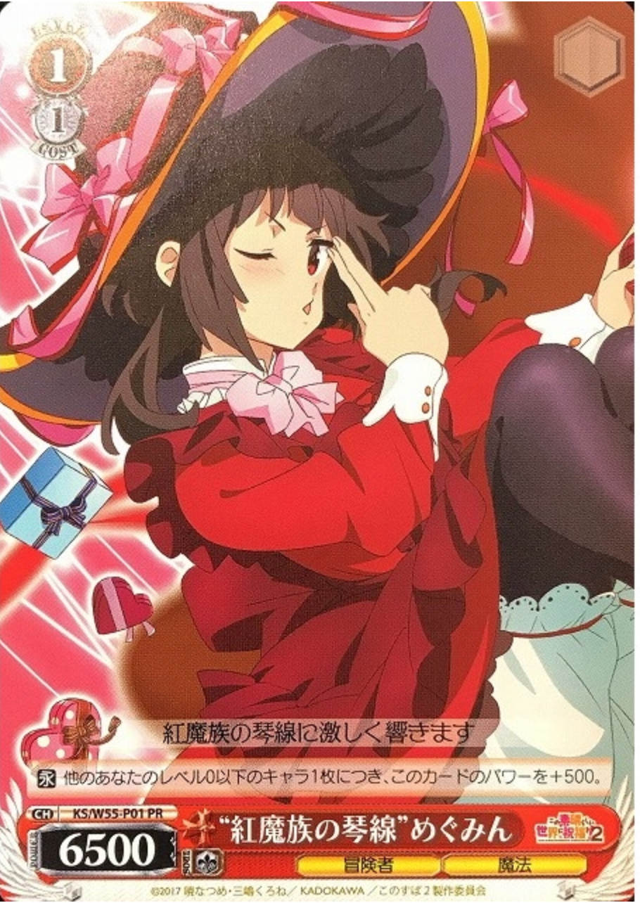 KS/W55-P01 PR Megumi
