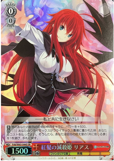 Fdd/W65-044S SR Rias