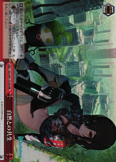 HOL/W91-T019 RRR Roboco