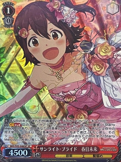 IMS/S93-046SP SP Kasuga Mirai