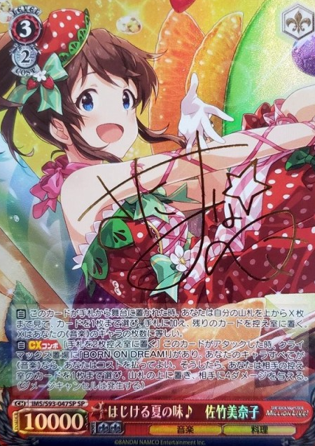 IMS/S93-047SP SP Satake Minako
