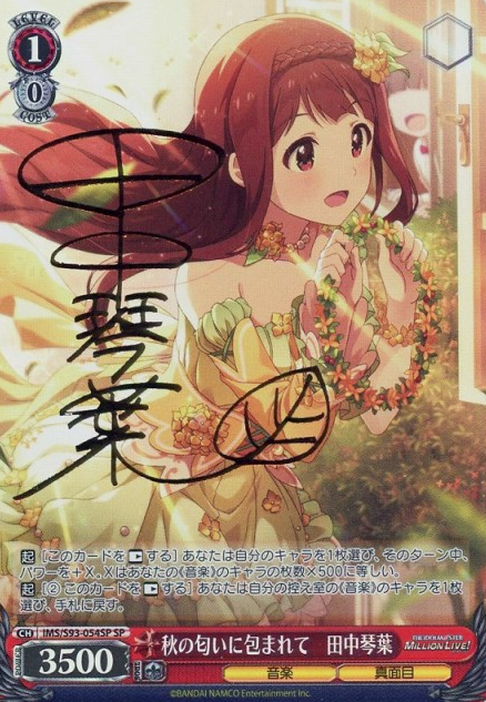 IMS/S93-054SP SP Tanaka Kotoha