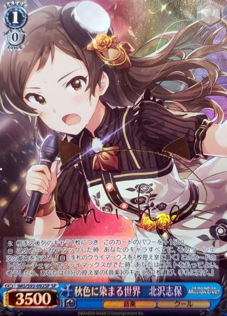 IMS/S93-092SP SP Kitagawa Shiho
