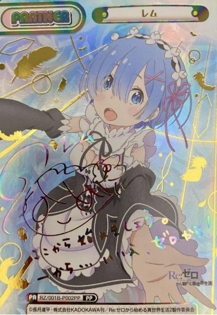 RZ-001B-P002 PP Rem