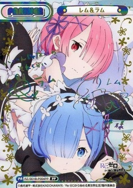 RZ-001B-P004 PP Rem Ram
