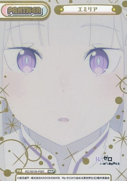 RZ-001B-P007 NBP Emilia