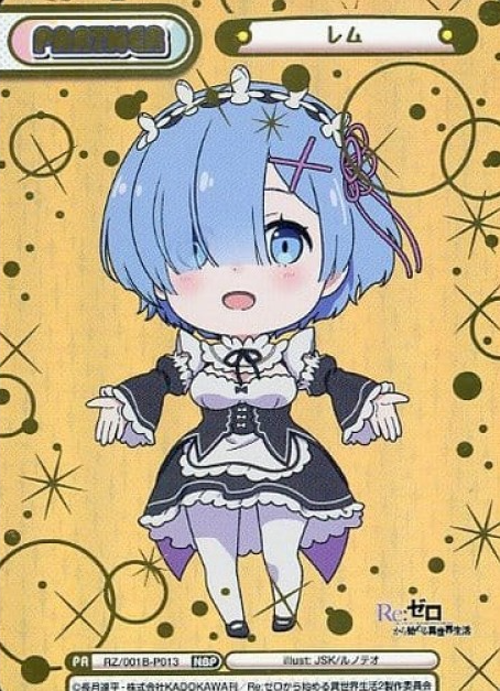 RZ-001B-P013 NBP Rem
