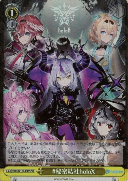 HOL-W104-036 SR holoX