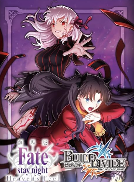 Build Divide Fate/stay night Heaven’s Feel
