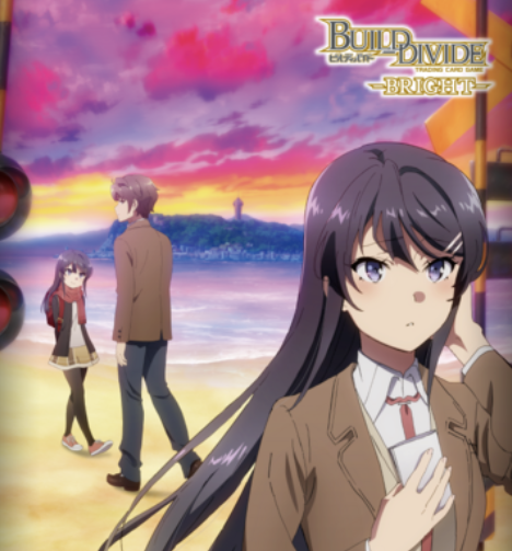 Build Divide Bunny girl senpai vol.2