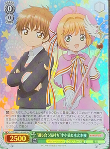 CCS/W113-028S SR sakura